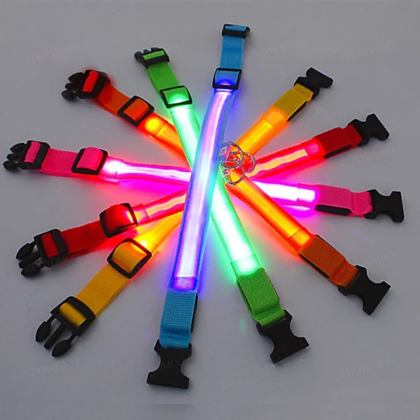 3 Modes Dog Luminous Charge Collar Led Usb Cat Dogs Collars Detachable Night Led Glow Dog 1.webp