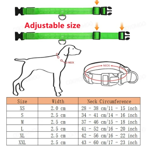 3 Modes Dog Luminous Charge Collar Led Usb Cat Dogs Collars Detachable Night Led Glow Dog 4.webp