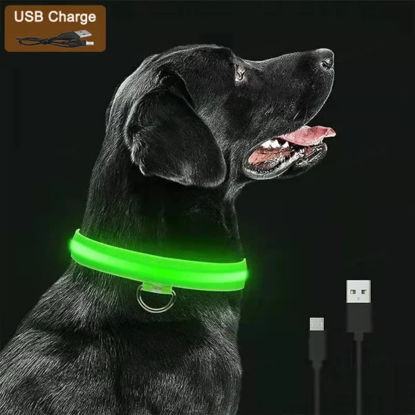 3 Modes Dog Luminous Charge Collar Led Usb Cat Dogs Collars Detachable Night Led Glow Dog.webp