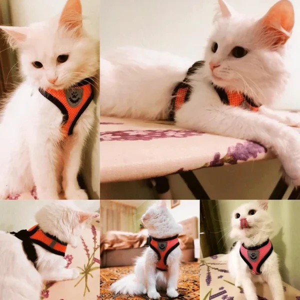 Cat Harness Vest Walking Lead Leash For Puppy Dogs Collar Polyester Adjustable Mesh Dog Harness For 1.webp